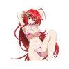 Mily High School DxD Rias Gremory Bikini Sticker Home Décor