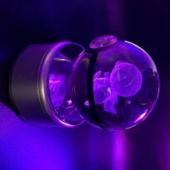 Mily Figures Pokemon Crystal Ball - Piplup