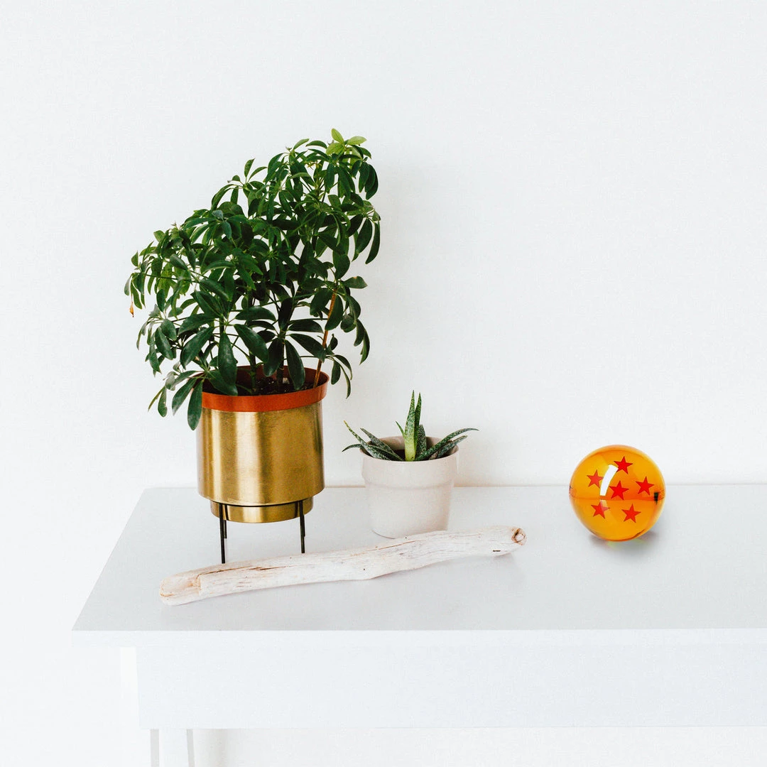 Mily Dragon Ball 7 Piece Dragon Ball Set Large 5 Mily Dragon Ball 7 Piece Dragon Ball Set Large