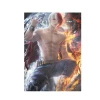 Mily My Hero Academia Shoto Todoroki Pin Up "11 X 17" Aluminum Art Print