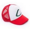 Mily Apparel Pokémon Ash Ketchum Hat